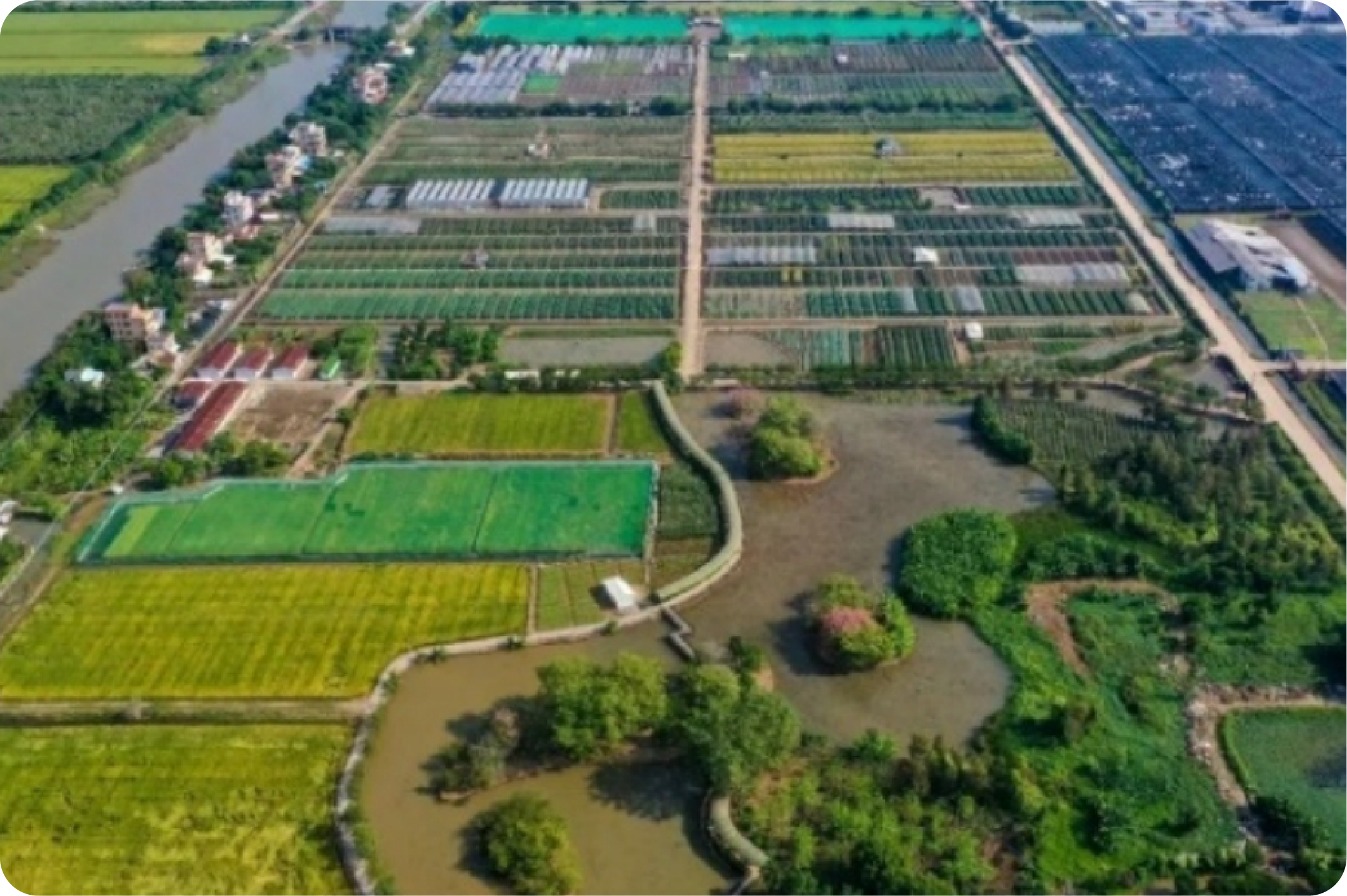 廣州市農業科學研究院（南沙總部基地；全國科普教育基地）圖片