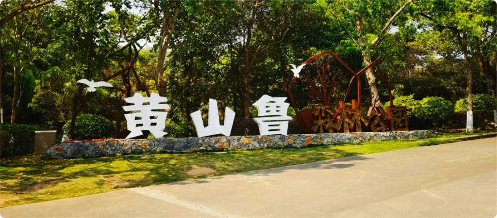 黃山魯森林公園 | 離城市很近的天然氧吧