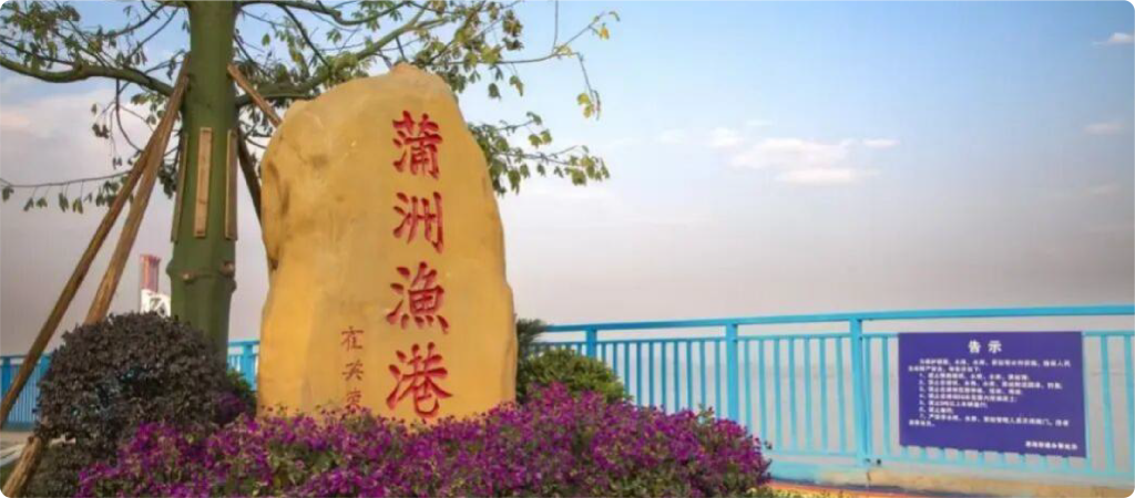 蒲洲漁港 | 古老漁港化身浪漫碼頭